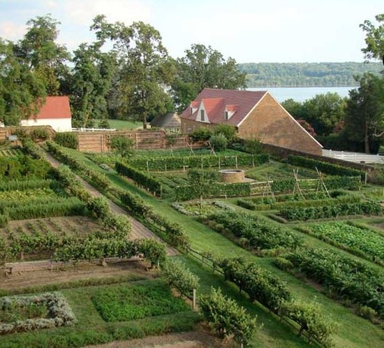 kitchen garden